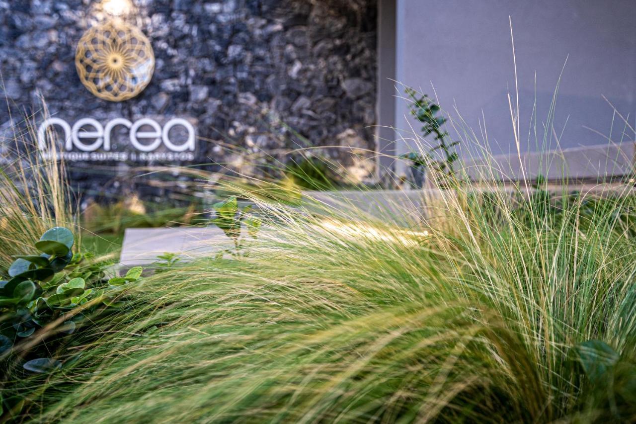 Nerea Boutique Suites Karystos מראה חיצוני תמונה
